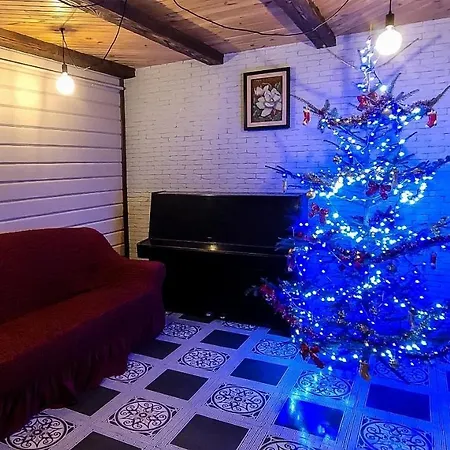 Sokil House Holiday home *