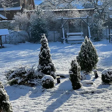 Sokil House 度假居 斯拉夫西克